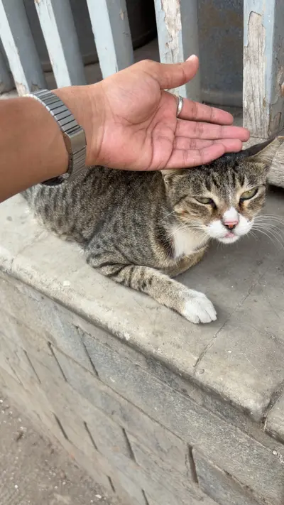 Distrctions when walking in mumbai